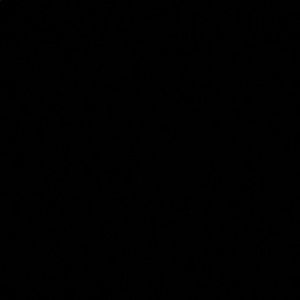 Meet your Posher, Pierina